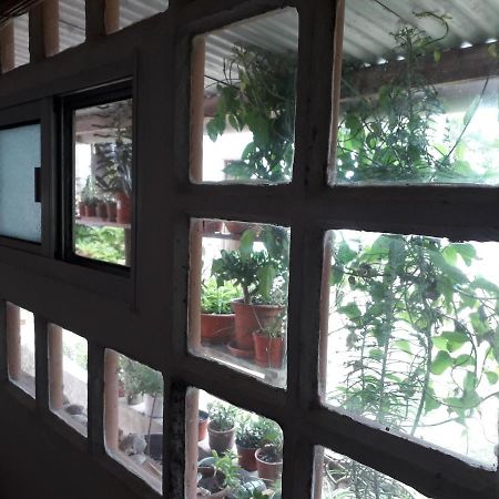 לה פלומה Hostel La Cruz Del Sur מראה חיצוני תמונה