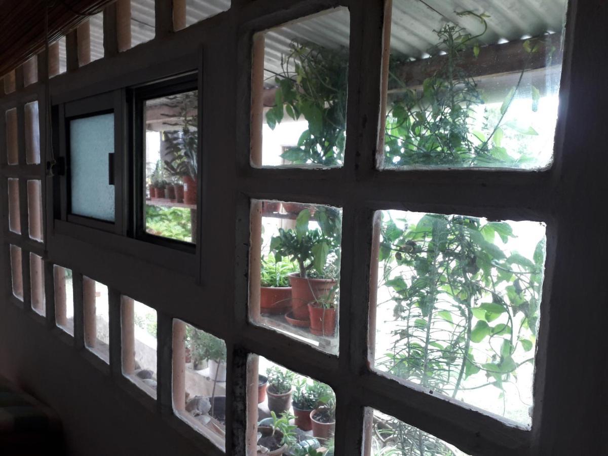 לה פלומה Hostel La Cruz Del Sur מראה חיצוני תמונה
