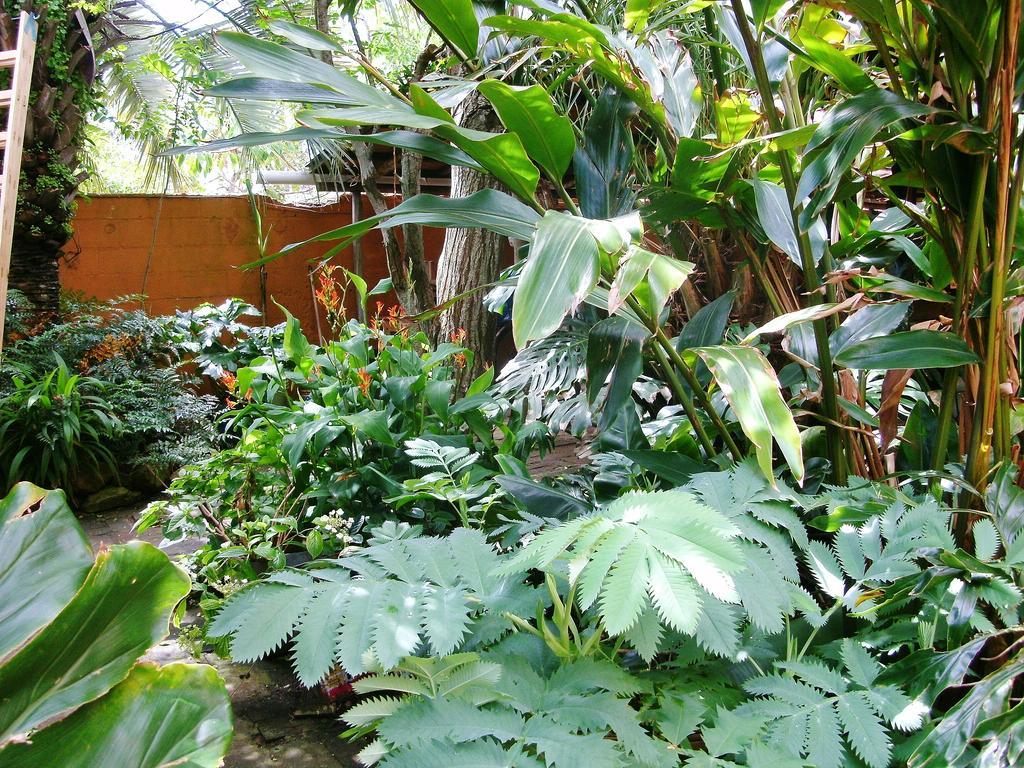 לה פלומה Hostel La Cruz Del Sur מראה חיצוני תמונה