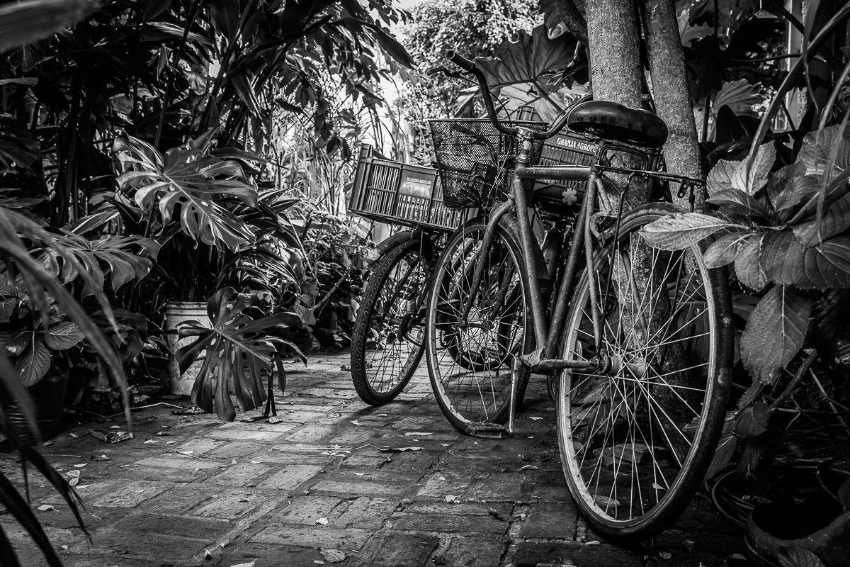 לה פלומה Hostel La Cruz Del Sur מראה חיצוני תמונה